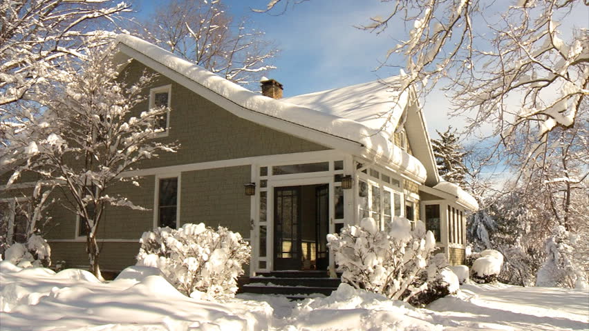 house and bushes in snow