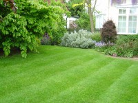 Lawn care and maintenance