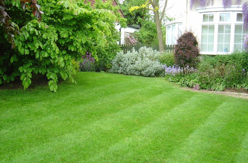 house with a perfect lawn