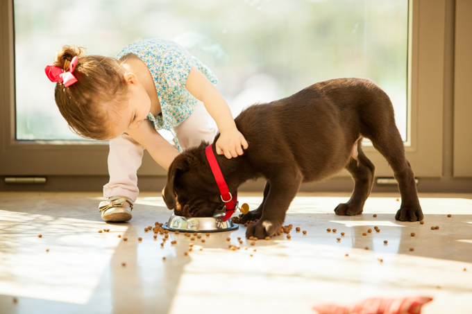 little girl feeding a puppy
