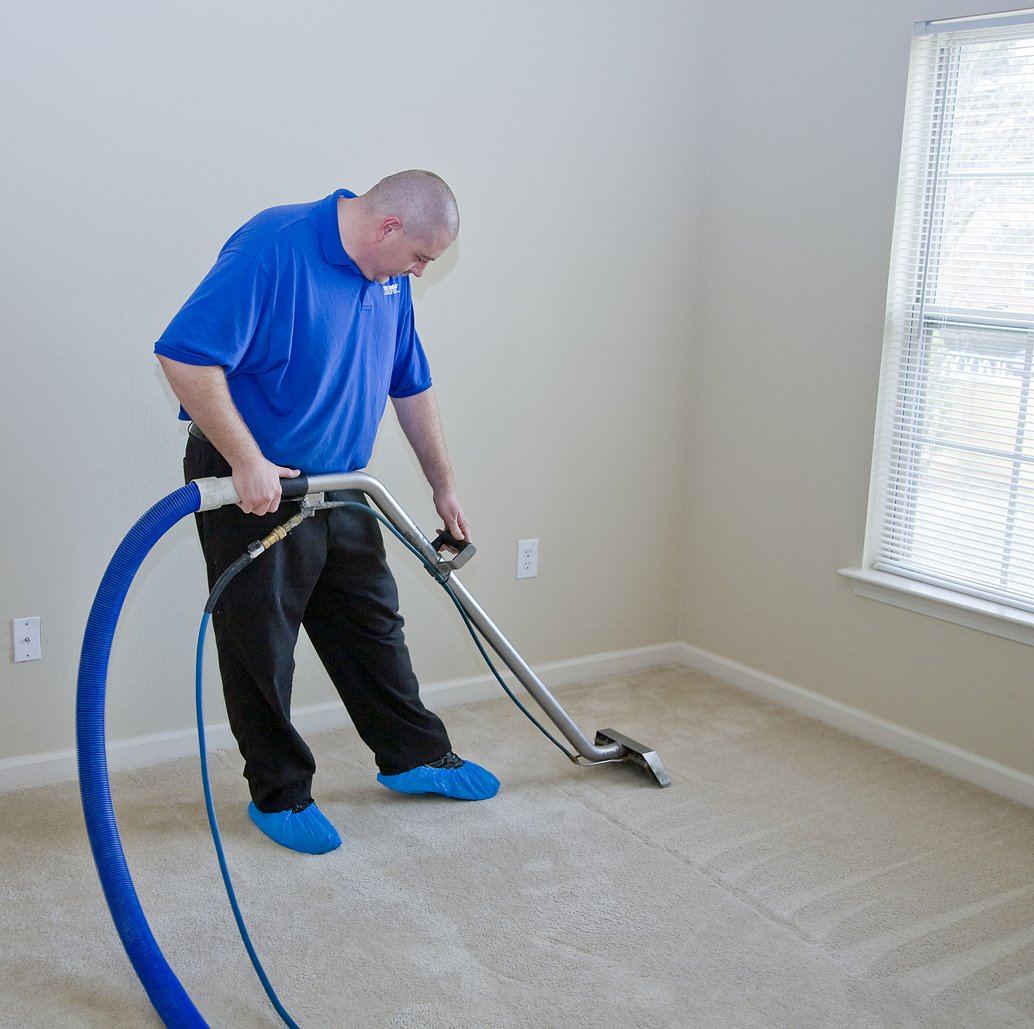 professional carpet cleaner steam cleaning carpets