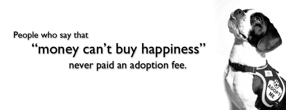 money can buy happiness - adopt fee