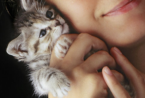 woman holding a kitten near her face