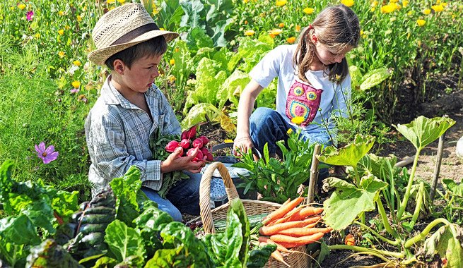 children in vegetable garden