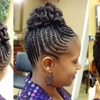 african hair braids styles