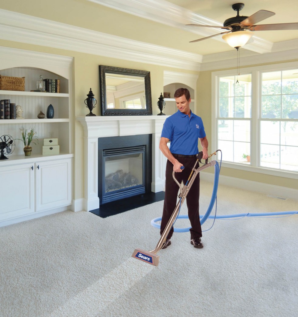 How to Deep Clean Your Carpet HireRush Blog