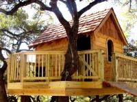 How to build a tree house | kid’s edition