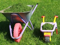 How to Start a Lawn Care Business