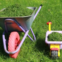 wheelbarrows-g700e53cd4_1920
