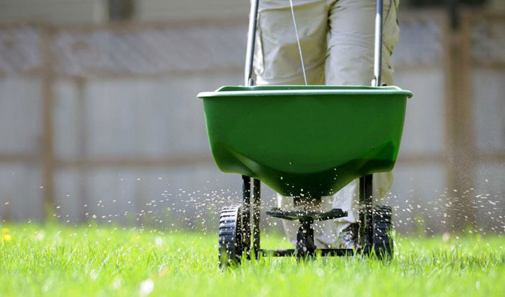 man feeding the lawn