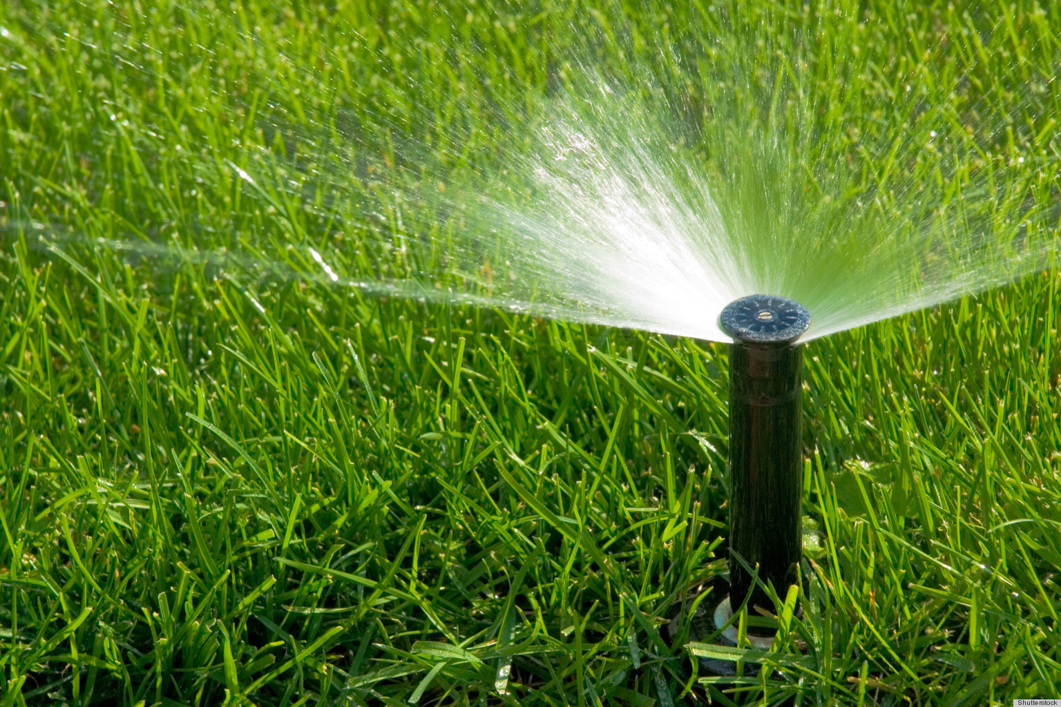 water sprinkler on grass