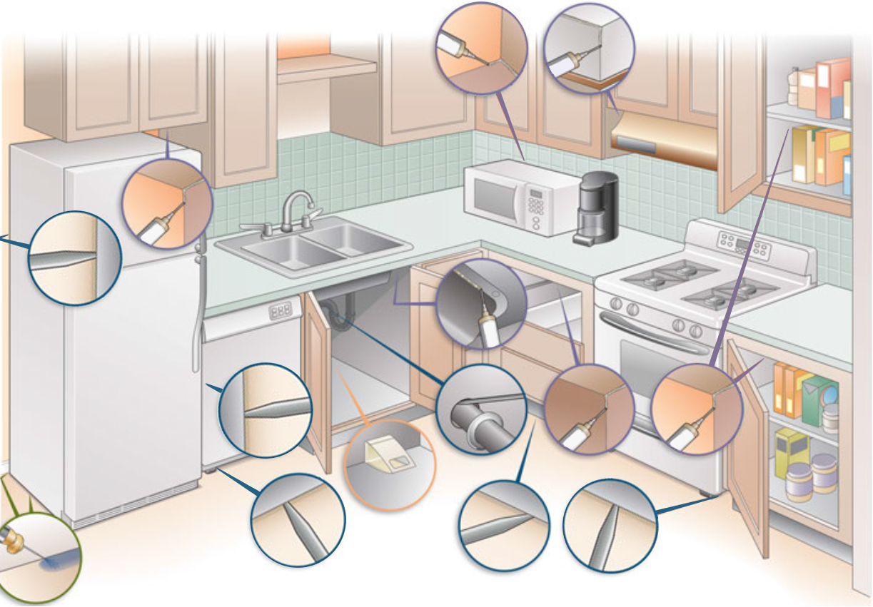 where to put baits for cockroaches around the house