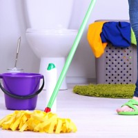 woman standing in the bathroom near the toilet with a mop, bucket and cleaning solution