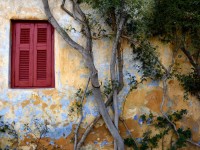 Mold removal tips: DIY ideas for healthy living