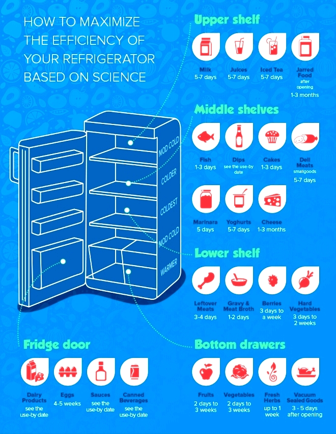fridge organization scheme safe food storage