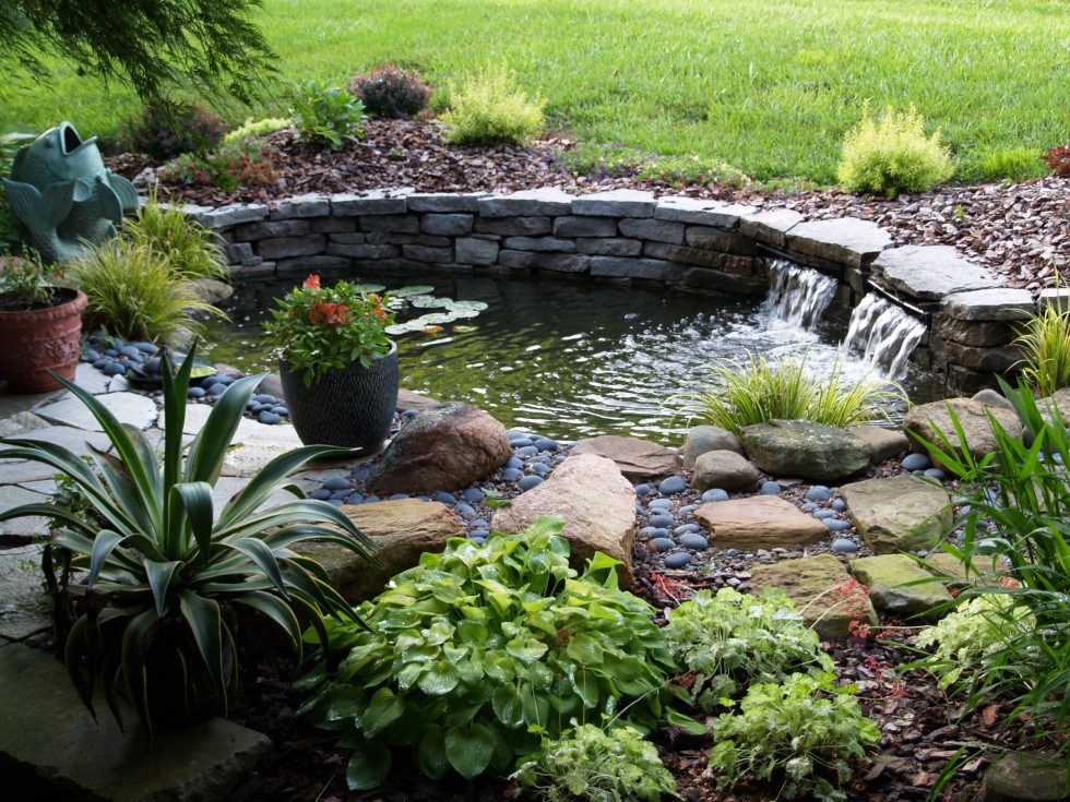 How to build a pond in your garden HireRush Blog