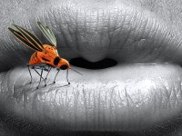 How to get rid of mosquito bites