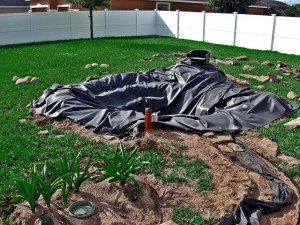 How to build a pond in your garden | HireRush Blog