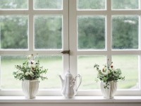 How to paint windows in 6 steps