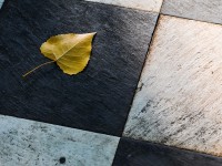How to replace or repair a cracked tile