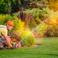 Garden Watering Systems. Garden Technician Testing Watering Sprinkler System in the Residential Garden.
