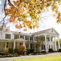 banquet-1582569_1920