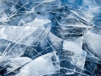 10 ways you may stop climate change and global warming