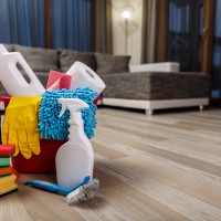 Cleaning service. Bucket with sponges, chemicals bottles and plunger. Rubber gloves and paper towel. Household equipment.