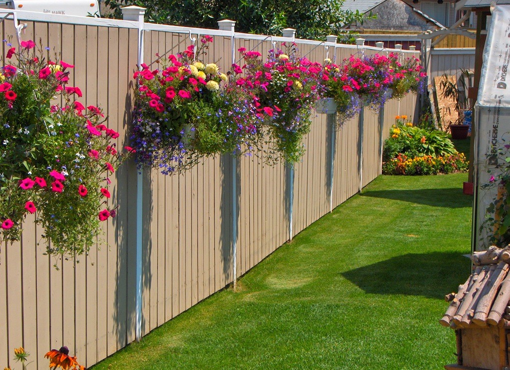 Backyard design ideas and DIYs | HireRush Blog