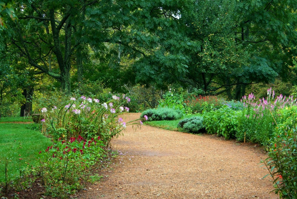 garden-path-59151_1920