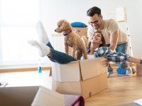 Ultimate move-in list of necessities for a new apartment
