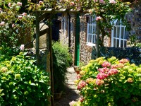 Garden ideas for spring: 10 chores to do early in the season