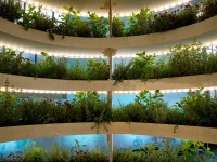 Sustainable living: IKEA’s indoor garden Growroom