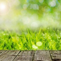 background-316552_1280