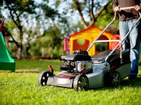 Lawn mower maintenance: 10 rules to follow