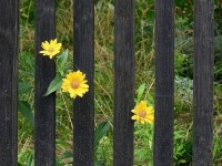 Proper way to fix a leaning fence