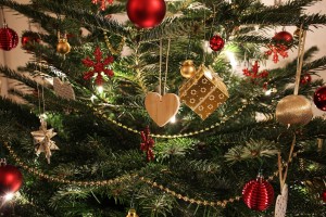 Christmas tree can be dangerous to your pet's health