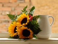 Kids and plants: most dangerous flowers for a baby shower