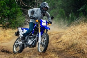 the fastest among motorcycles