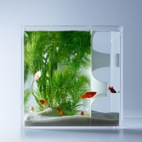 Fish-tank