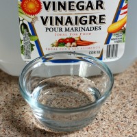 vinegar for mold removal