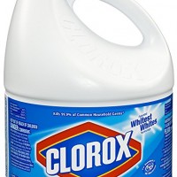 bleacher for mold removal