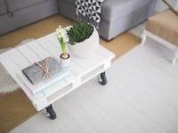 Disease-free living: top 15 sickness-causing items at home