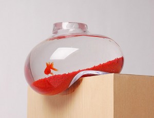 Liquid-aquarium