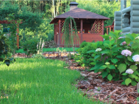 Sun protection for plants: 3 basic ways