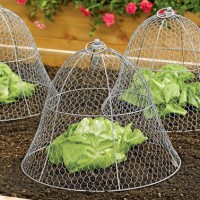 sun protection for garden 3