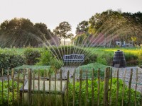 Sprinkler choosing guide for beginners