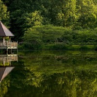 virginia-868416_1920