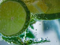 Private Well Water – Chance to Save Money or Health Threat?