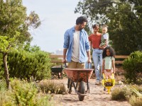 Laying the Groundwork for a DIY Landscaping Project: Key Tips and Tricks